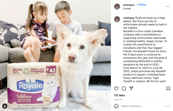 social media startups