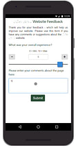 customer survey screenshot